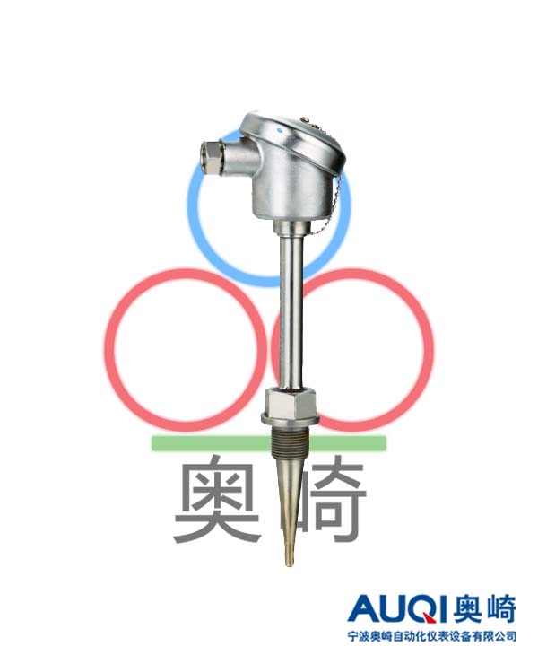 核电专用小惰性热电阻